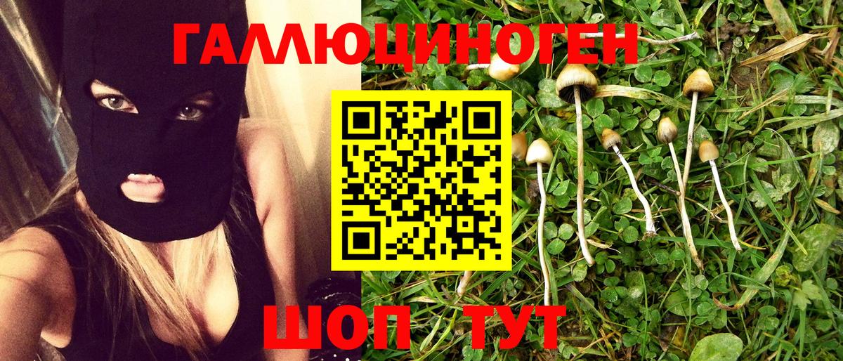 Кашира  Галлюциногенные грибы мицелий  Вход с VPN 